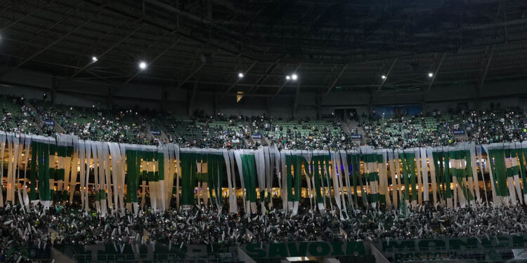 Foto: Cesar Greco/Palmeiras/by Canon